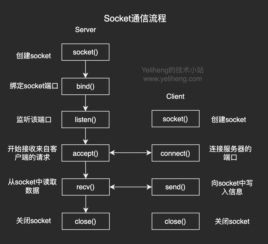 socket